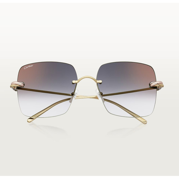 NWT CARTIER CT0508S 001 Sunglasses main image 5